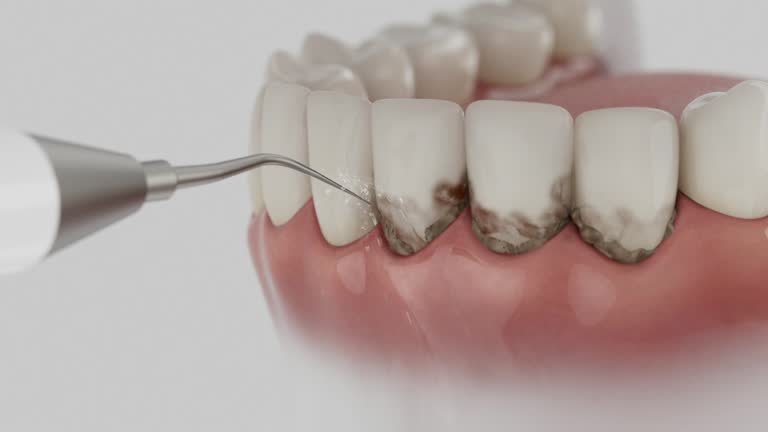 Reliable Dental contractor in Salina, UT by Dentist Open Now